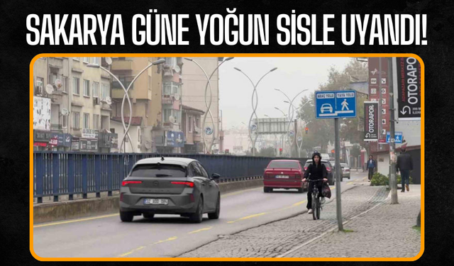 Sakarya güne yoğun sisle uyandı