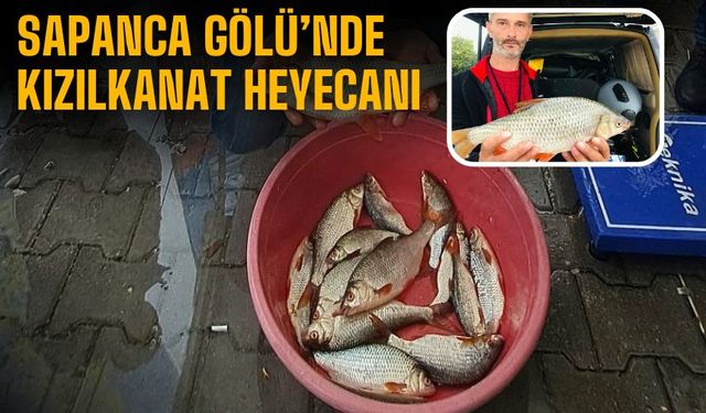 Sapanca Gölü’nde kızılkanat heyecanı