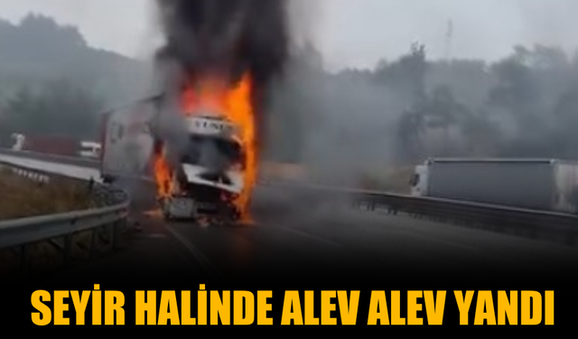 Seyir halindeki tır alev alev yandı