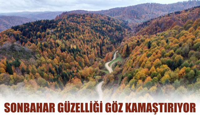 Akyazı’da Sonbahar Renkleri Havadan Görüntülendi