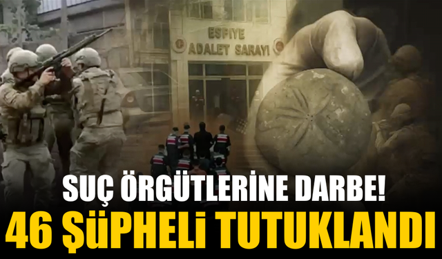 Suç örgütlerine yönelik operasyon: 46 şüpheli tutuklandı