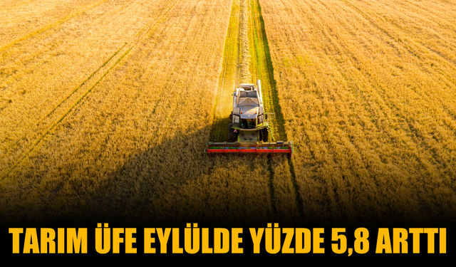 Tarım ÜFE Eylülde Yüzde 5,8 Arttı