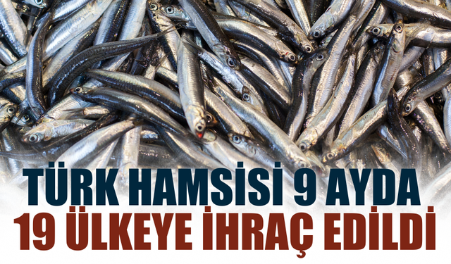 Türk hamsisi 9 ayda 19 ülkeye ihraç edildi