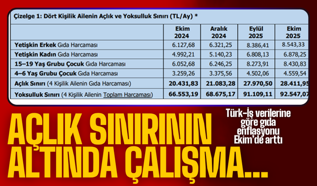 Türk-İş verilerine göre gıda enflasyonu Ekim’de arttı