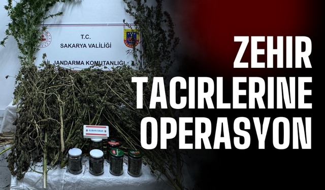 Ferizli ve Karasu'da zehir tacirlerine operasyon!