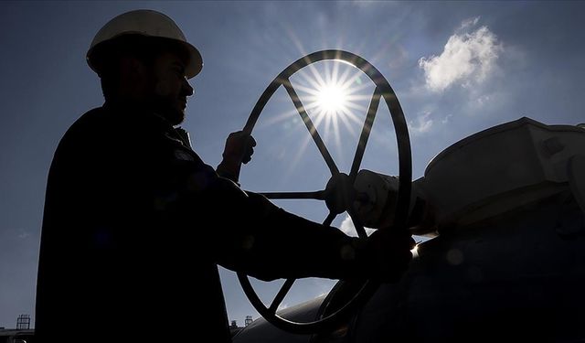 BOTAŞ ve TEMSAN 262 Personel Alacak