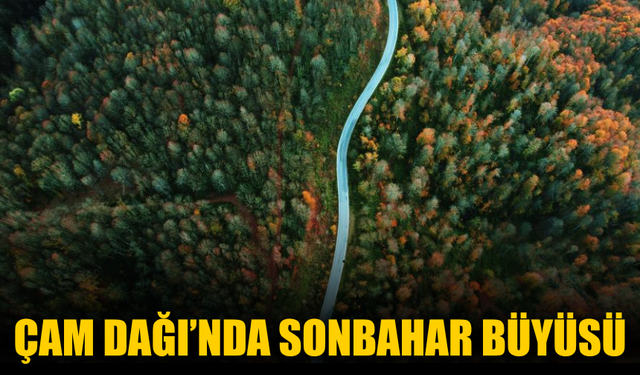 Çam Dağı’nda Sonbahar Büyüsü: Renk Cümbüşü Mest Ediyor