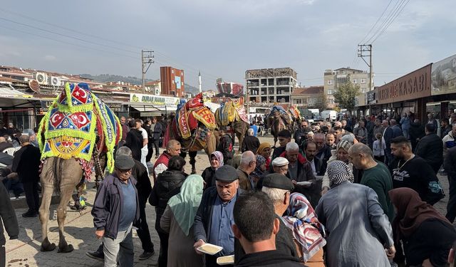 Çan'da yarışacak develere havut giydirildi