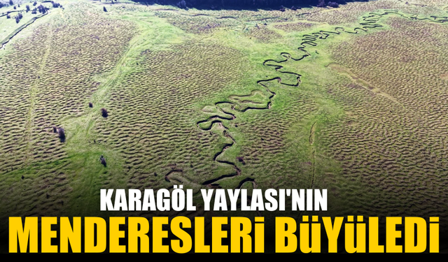 Sakarya’nın Karagöl Yaylası, Doğal Güzelliğiyle Göz Kamaştırıyor