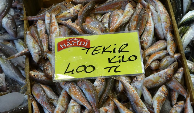 Kocaeli’de Balık Tezgâhlarında Çeşit Var, Bolluk Yok