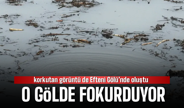 Efteni Gölü’nde Fokurdayan Sular Vatandaşları Şaşırttı