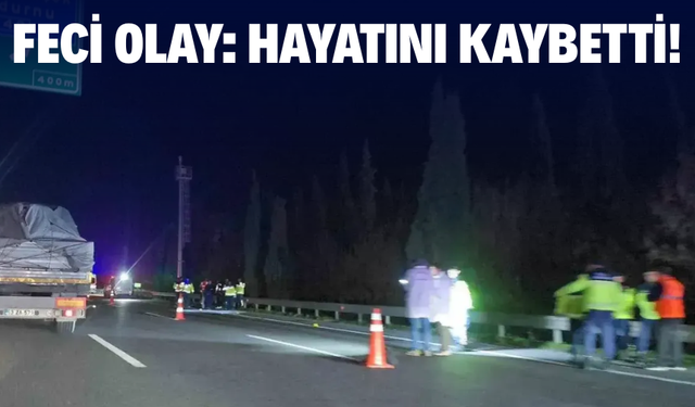 Anadolu Otoyolu'nun Sakarya kesiminde otomobilin çarptığı yaya öldü