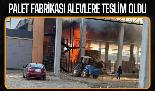 Palet fabrikası alevlere teslim oldu