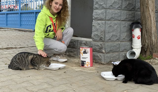 Pelin öğretmen 11 yıldır 'çocuklarım' dediği kedileri besliyor