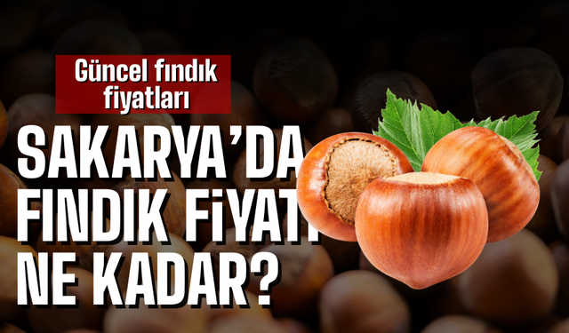 Sakarya’da Fındık Fiyatları Ne kadar?