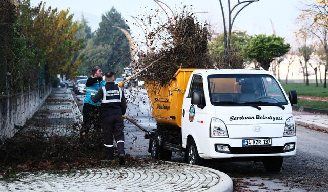 Serdivan’da Sonbahar Temizliği!