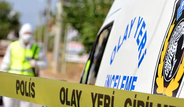 Tartışma sonrası baba, oğlunu ve kardeşini bıçaklayarak öldürdü