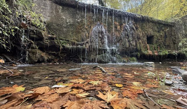 Tekirdağ'da sonbahar renklerine bürünen ormanlar doğa tutkunlarını bekliyor