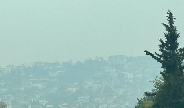 Sakarya Güne Sisle Başladı