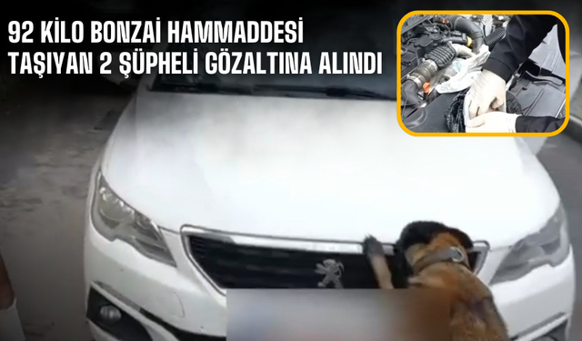92 kilo bonzai hammaddesi taşıyan 2 şüpheli gözaltına alındı