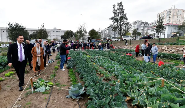 Bornova’da Kent Bostanlarında Kışlık Hasat Sevinci