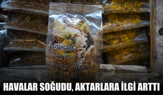 Aktarlara ilgi arttı