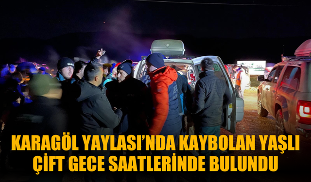 Karagöl Yaylası’nda Kaybolan Yaşlı Çift Gece Saatlerinde Bulundu