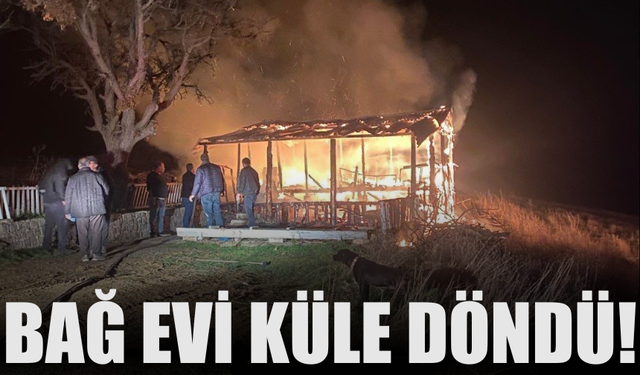 Benzinle Mangal Yakma Girişimi Yangına Neden Oldu