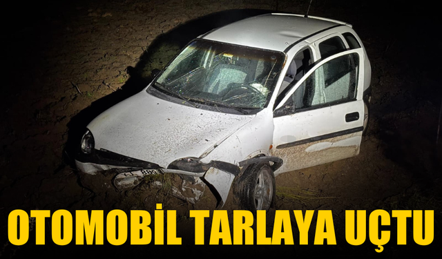 Otomobil tarlaya uçtu!