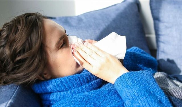 “H3N2 Türkiye için tehdit oluşturmuyor”