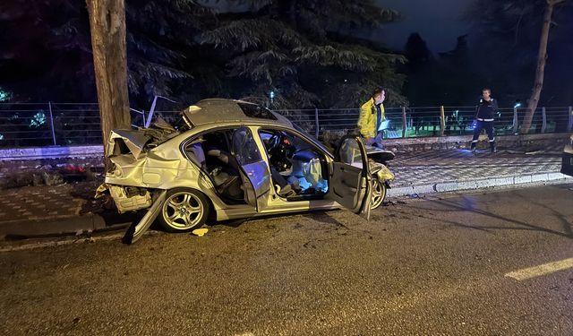 Bursa'da ağaca çarpan otomobildeki 2 kişi ağır yaralandı
