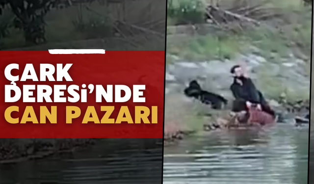 Adapazarı’nda Çark Deresi’ne Atlayan Şahıs Kurtarıldı