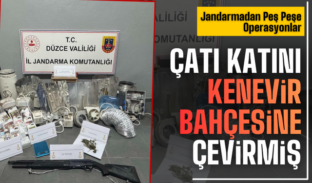Çatıya Kurulan Kenevir Bahçesi Ortaya Çıkarıldı