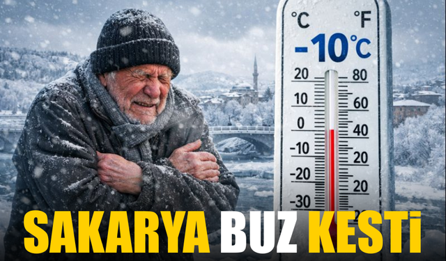 Sakarya buz kesti