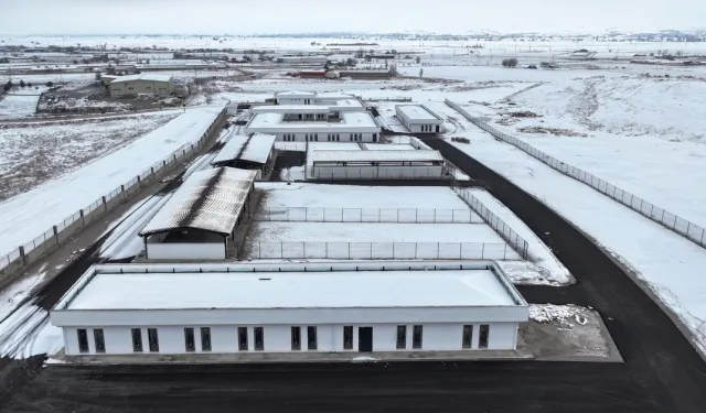 Kocasinan’dan Sokak Hayvanlarına Örnek Proje