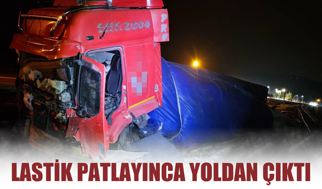 Lastik patlayınca yoldan çıktı