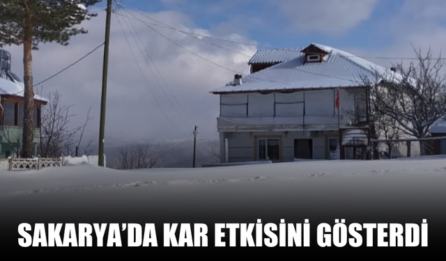 Sakarya'da lapa lapa kar yağdı!