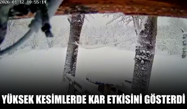 Sakarya’nın Yüksek Kesimlerinde Kar Etkisini Gösterdi