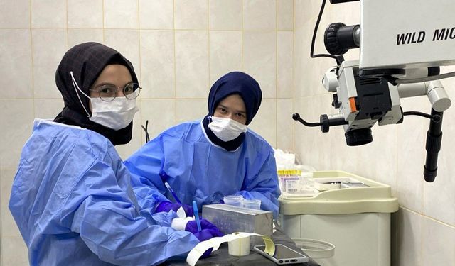 1.641 öğrenci iş deneyimi kazandı