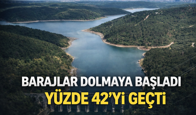 DSİ Genel Müdürü Balta: Baraj doluluk oranı yüzde 42’ye ulaştı