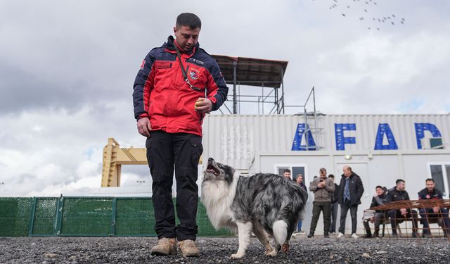 Evdeki can dostları arama kurtarma görevine hazırlanıyor