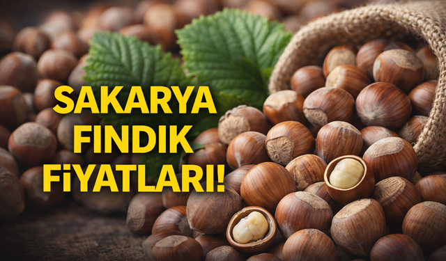 8 Şubat 2026 Sakarya Fındık Fiyatları | Fındık Bugün Kaç TL?