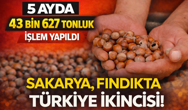 Sakarya, Fındıkta Türkiye İkincisi!