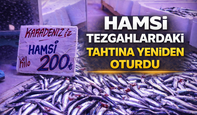 Hamsi Karadeniz’den Döndü