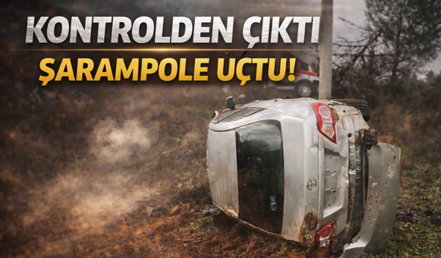 Otomobil Şarampole Uçtu: Sürücü Yaralandı