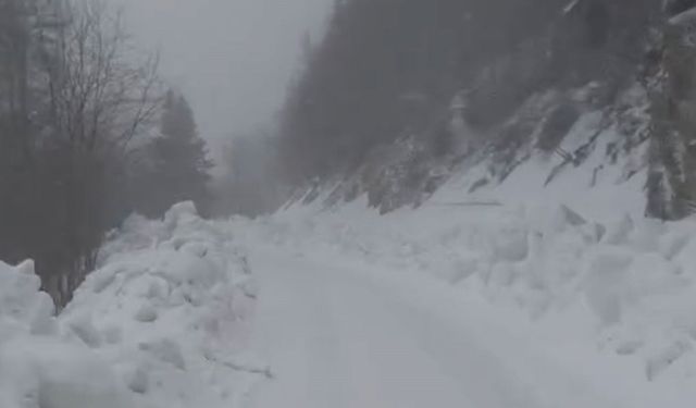 Yedigöller Milli Parkı yolunda kar yağışı etkili oluyor