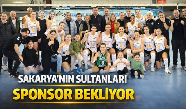 Sakarya'nın Sultanları sponsor bekliyor!
