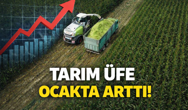 Tarım ÜFE Ocakta Yüzde 43,58 Arttı