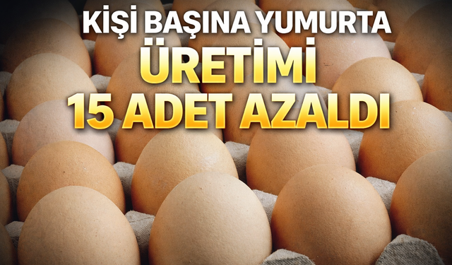 Kişi Başına Yumurta Üretimi 15 Adet Azaldı