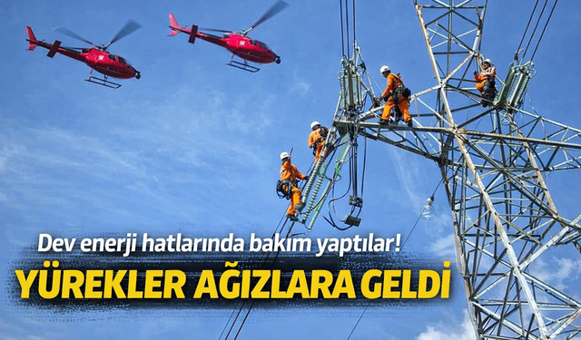 Dev Enerji Hatlarında Bakım Yaptılar